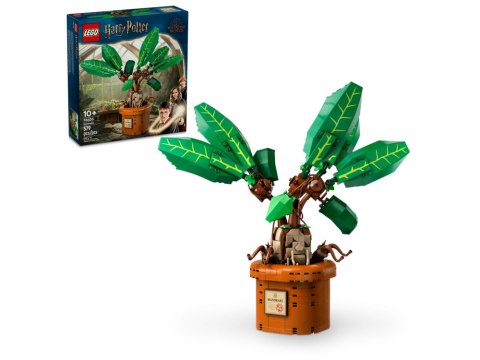 LEGO 76433 HARRY POTTER - Mandragora