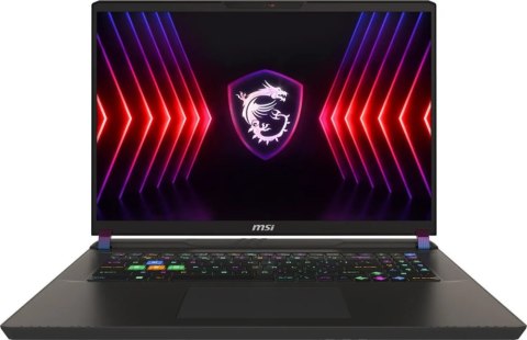 MSI Vector 17 HX (17"/I9-13980HX/RTX4060/32GB/SSD1TB/W11H/Czarny)