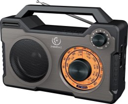 Głośnik Bluetooth /radio przenośne Rebeltec RODOS